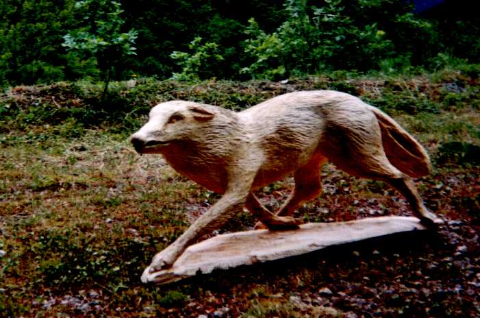 course du loup